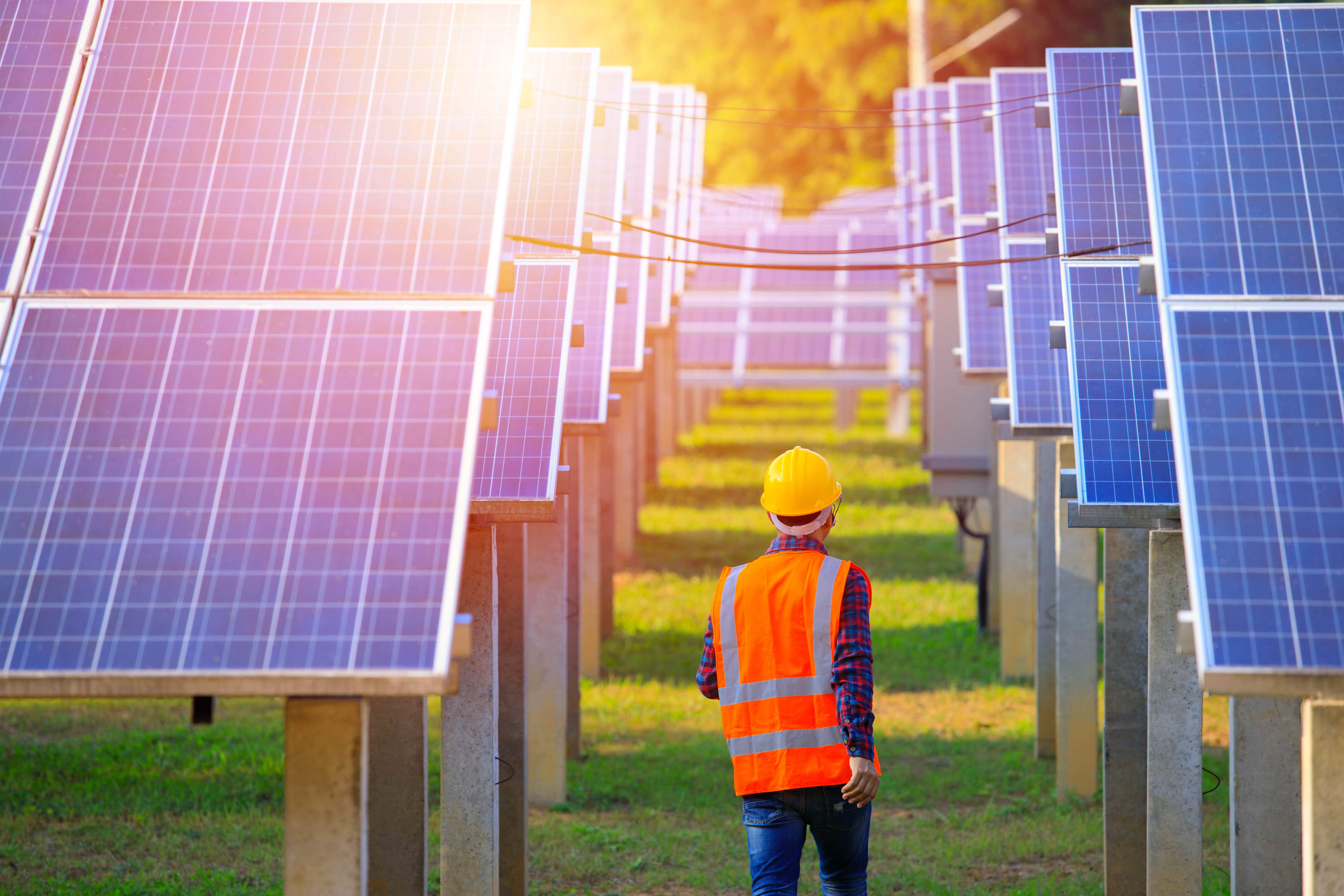 Utility worker walking through ground mounted solar panels made from galvanized steel.