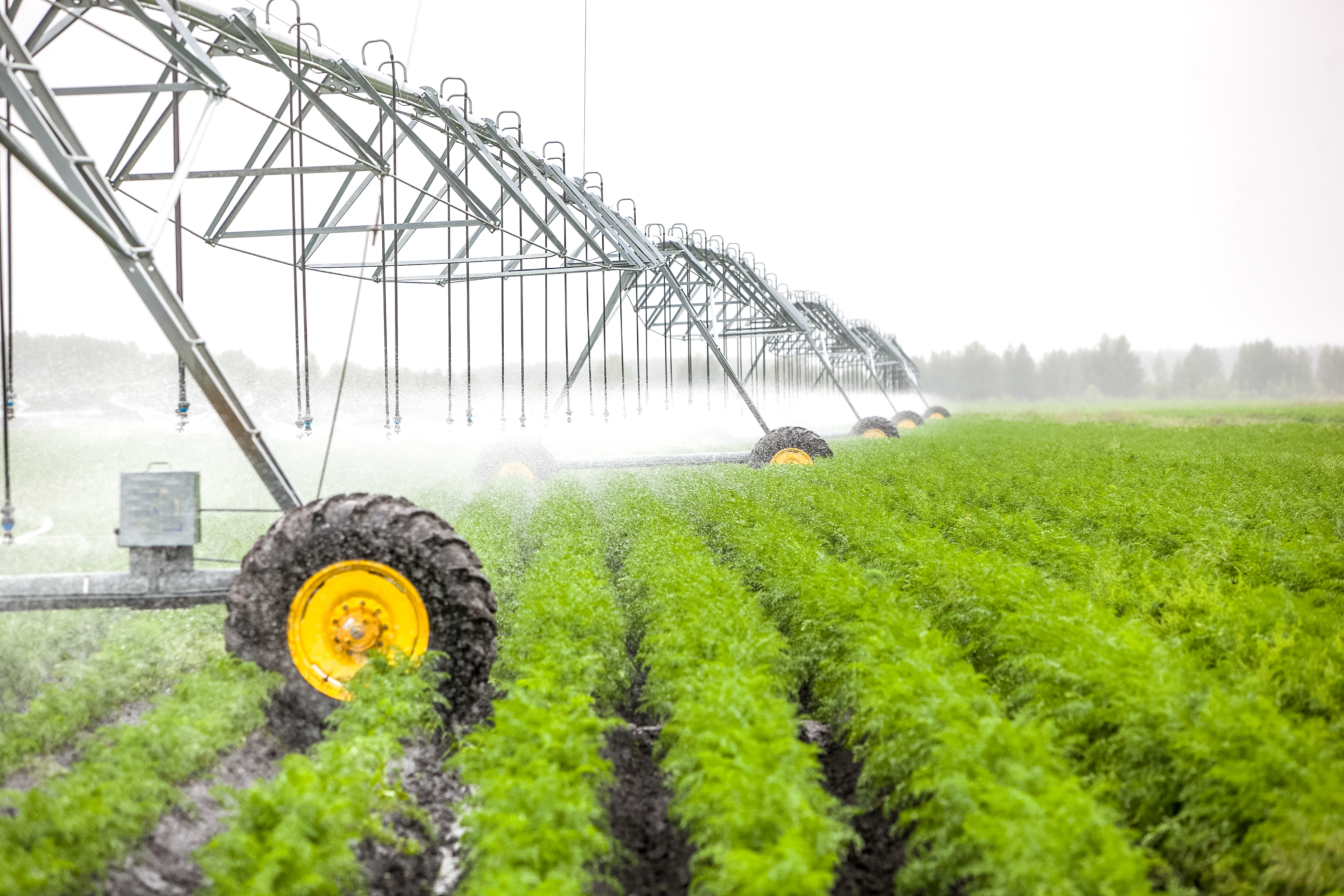 A field of green plants being watered by center pivot irrigation system made from galvanized steel.